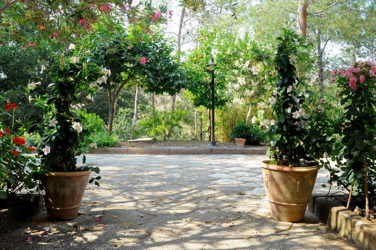 פיאצה ארמרינה Agriresort Villa Bentivoglio מראה חיצוני תמונה